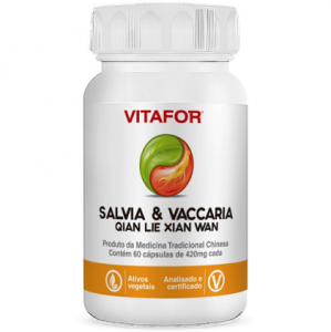 https://www.farmaciarhamnus.com.br/view/_upload/produto/272/miniD_159319554012298-salvia-vaccaria-mtc-60-capsulas-vitafor-_1_.png